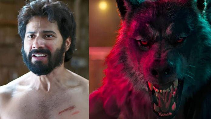 Unleashing the Beast: Varun Dhawan’s Bhediya Avatar in Thamma is a Thrill Ride! Varun Dhawan_pic courtesy X