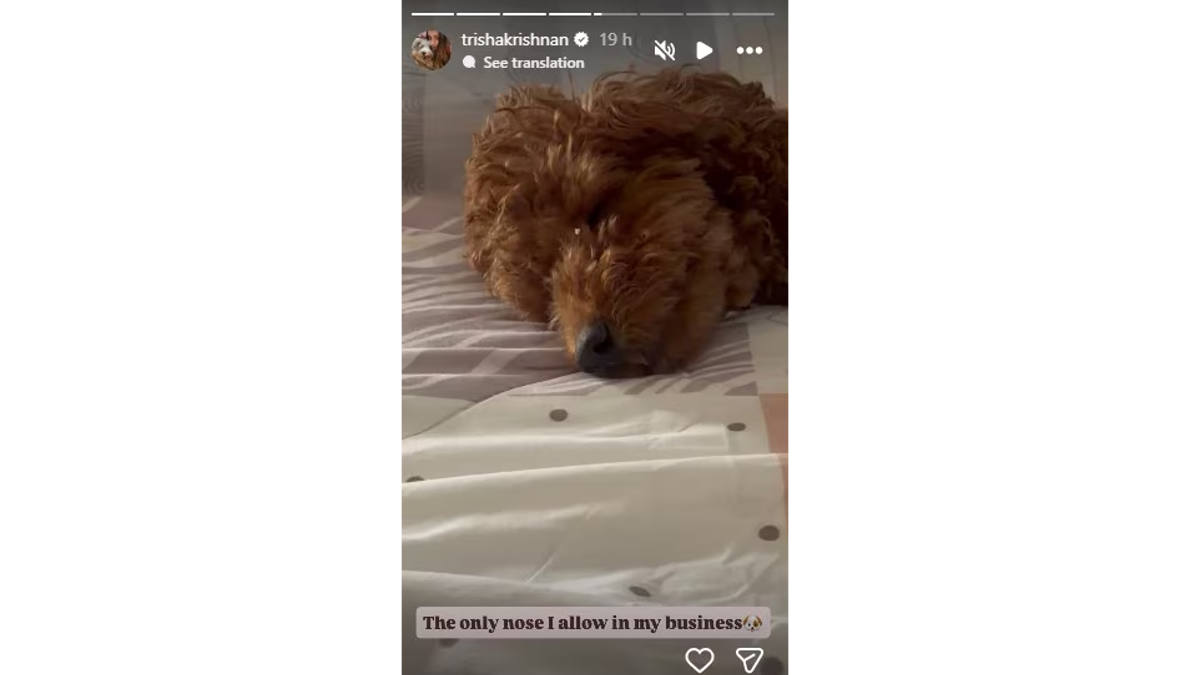 trisha krishnans cryptic post