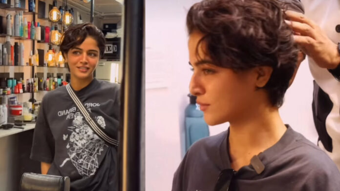 Wamiqa Gabbi’s Bold Haircut Has Fans Asking Is That Zendaya Wamiqa Gabbi’s Bold Haircut Has Fans Asking Is That Zendaya